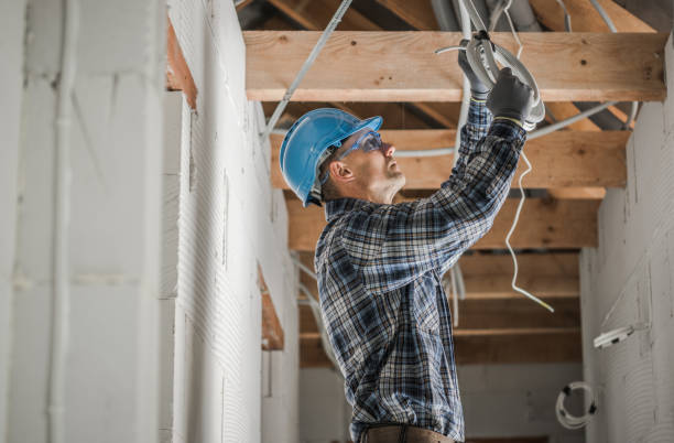 Best Residential Electrician Services  in Long Grove, IA